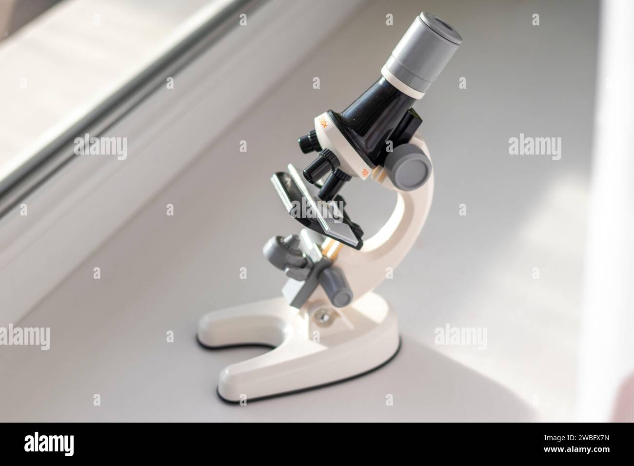 Verlieren Sie die Aufnahme des Mikroskops am Fenster Stockfoto