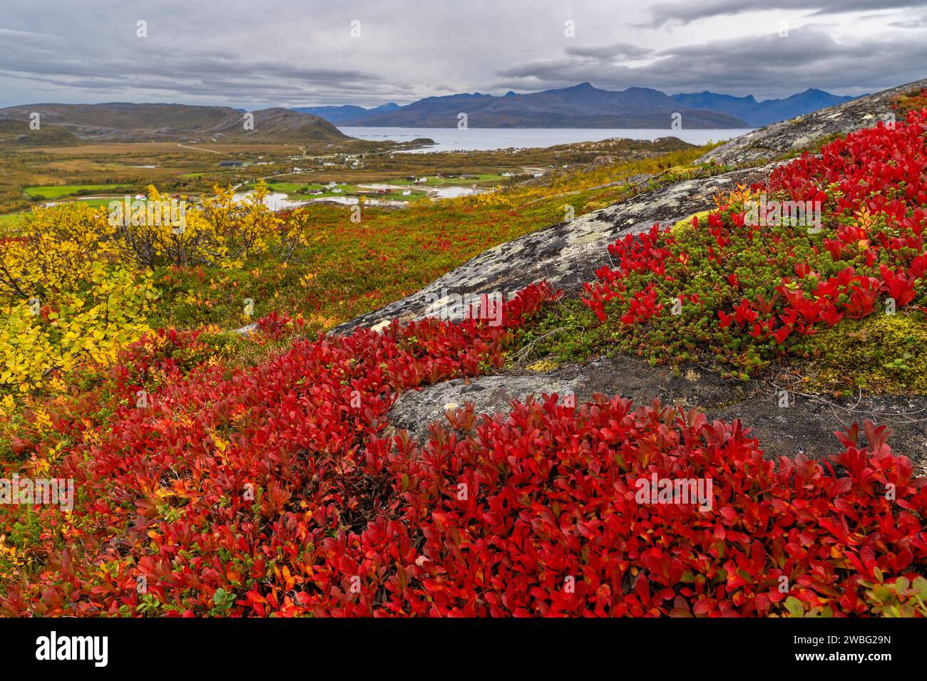 Im Freien in wilder Natur aus Norwegen mit Fjord, herbstbunten Bäumen, Pflanzen, felsigem Gipfel auf der Insel Kvaløya, See in Troms, über dem Polkreis Stockfoto