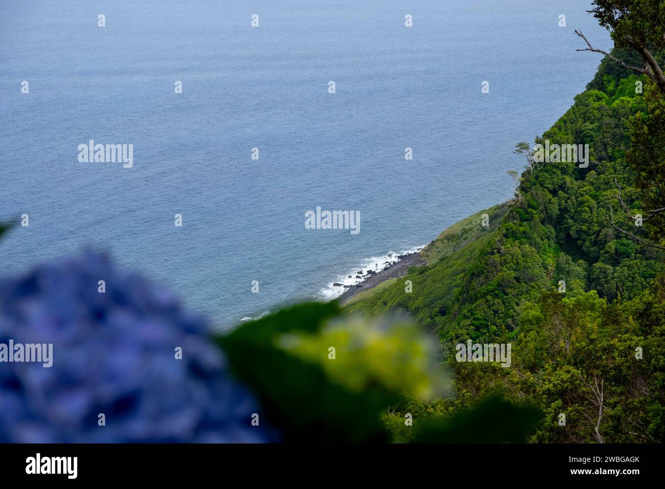 Wunderschöner Blick auf das Grün und die Klippe mit dem Meer auf Nordeste, Sao Miguel Insel auf den Azoren, Portugal Stockfoto