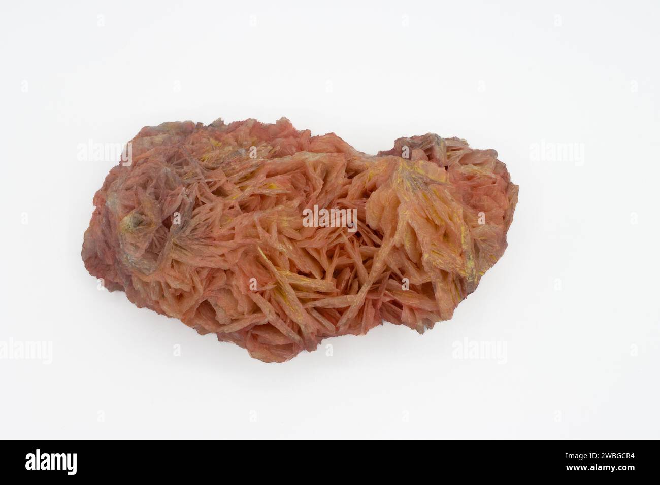 Rosa Rhodochrositkristall. Mineralisches Stonea Stockfoto