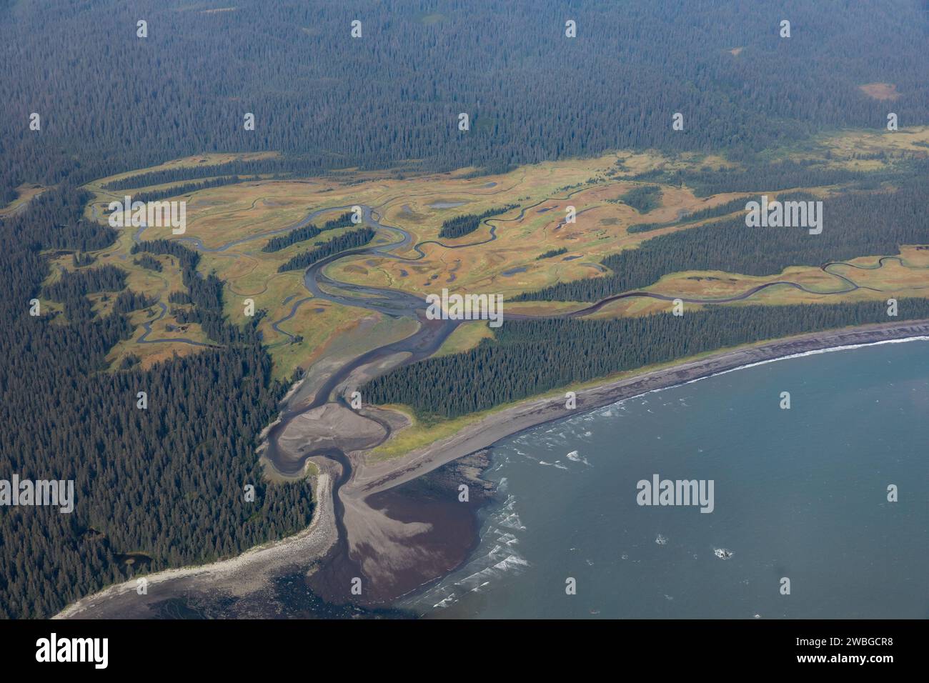 Ein Blick aus der Vogelperspektive zeigt einen Fluss, der sich durch einen Wald schlängelt und in den Ozean mündet, und zeigt die natürliche Schönheit und die ökologischen Prozesse der Landschaft. Stockfoto