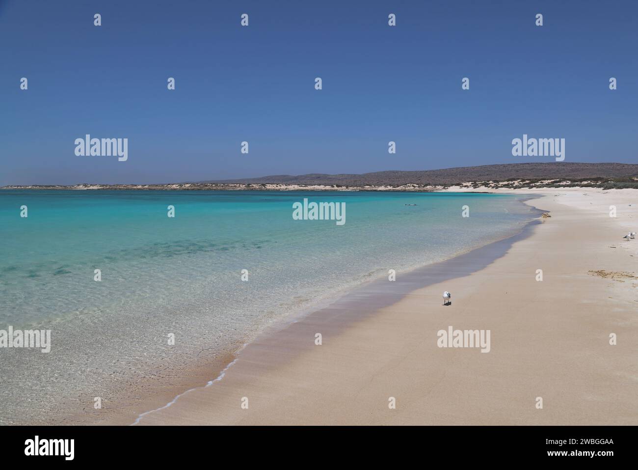 Turquoise Bay, Cape Range National Park, Western Australia Stockfoto