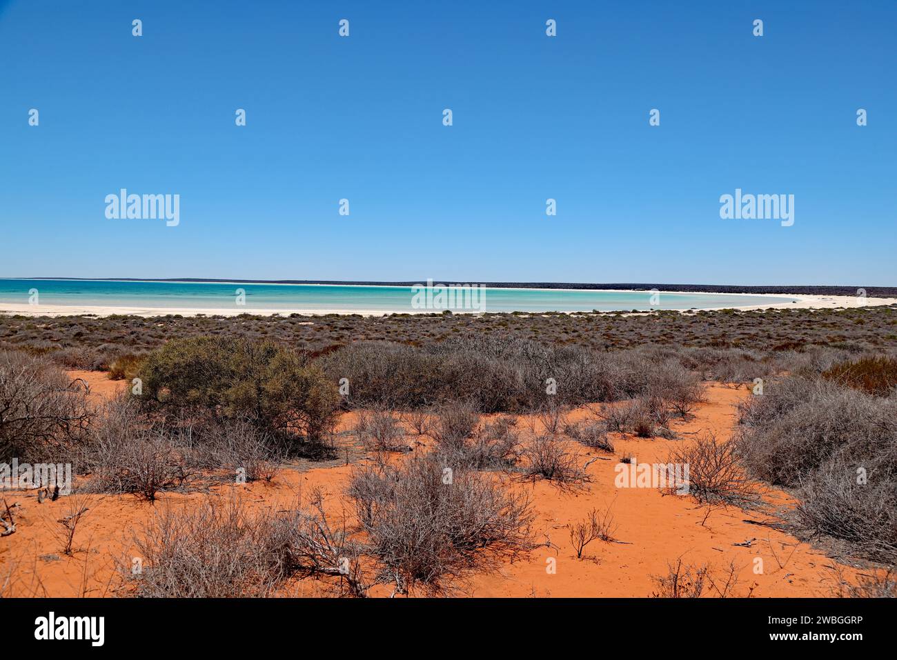 Shell Beach, Western Austalia Stockfoto