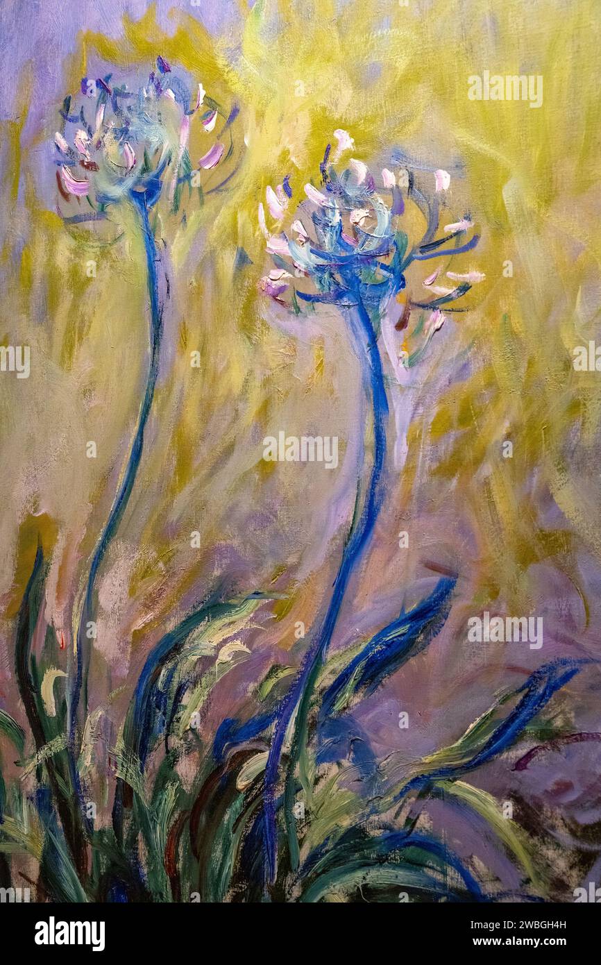 Gemälde „der Agapanthus“ oder „die Lilie des Nils“ von Claude Monet von 1914 bis 1917 Stockfoto
