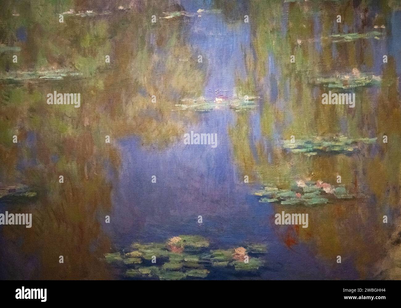 Gemälde "Wasserlilien" von Claude Monet aus dem Jahr 1903 Stockfoto