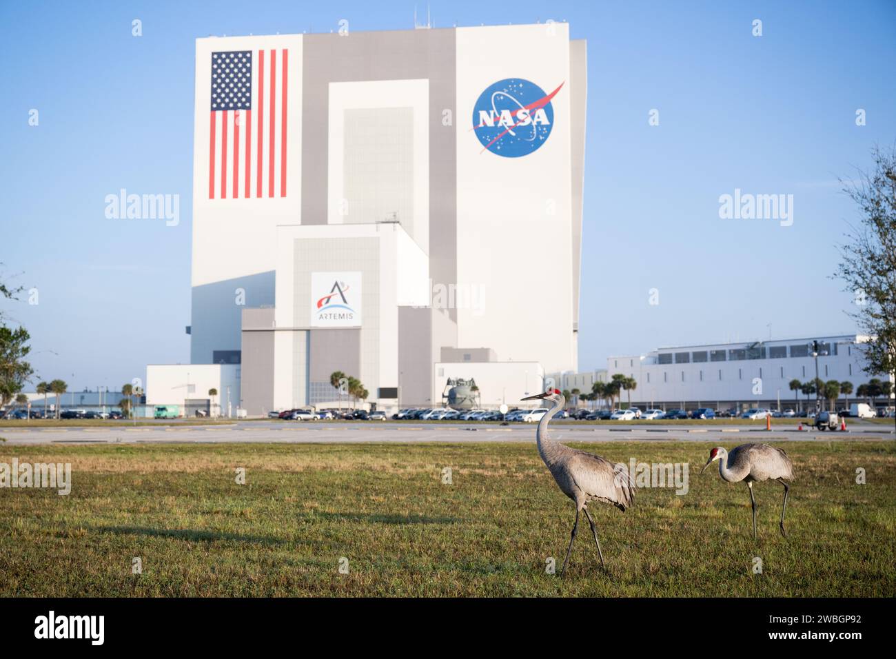 Am Freitag, 24. Februar 2023, im Kennedy Space Center der NASA in Florida, sind zwei Sandhügelkrane vor dem Fahrzeug Assmebly Building zu sehen, während die Vorbereitungen für den Start der SpaceX Crew-6-Mission der NASA fortgesetzt werden. Die SpaceX Crew-6-Mission ist die sechste Crew-Rotationsmission der SpaceX Crew Dragon und der Falcon 9-Rakete zur Internationalen Raumstation im Rahmen des kommerziellen Crew-Programms der Agentur. Die NASA-Astronauten Stephen Bowen und Warren 'Woody' Hoburg, der VAE-Astronaut Sultan Alneyadi und der Roscosmos-Kosmonaut Andrey Fedyaev sollen eine starten Stockfoto