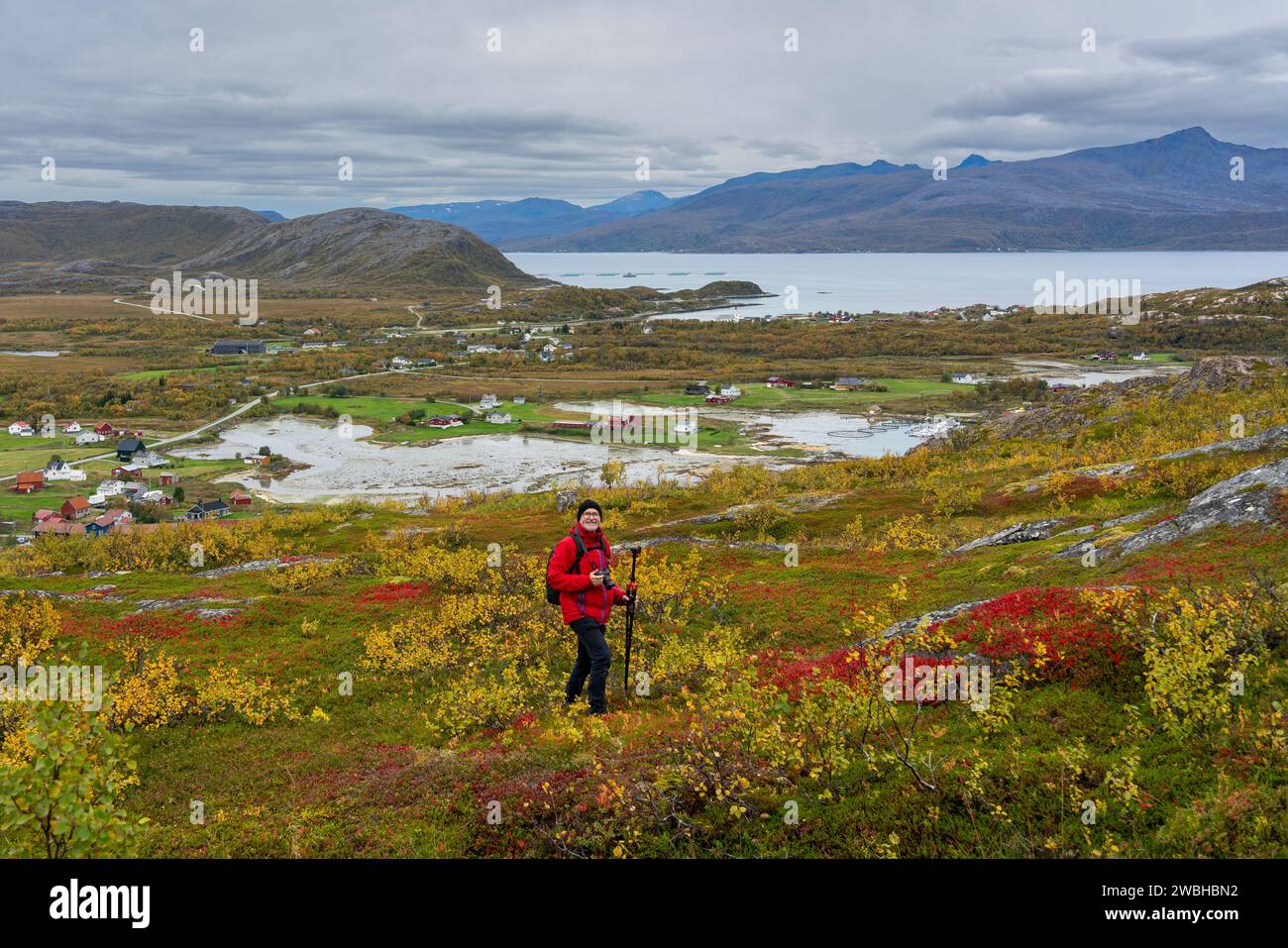 Wandermann in der herbstlichen Natur Norwegens. Wandern am Fjord und den Bergen auf der Insel Kvaløya in Troms, Wanderer auf dem Weg, Wanderer Paradies Stockfoto