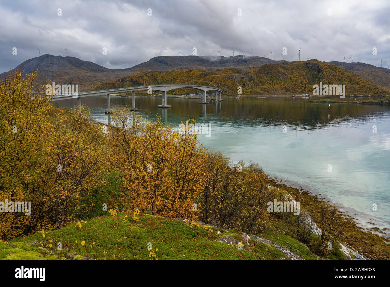 Die Brücke von Sommarøy, die majestätisch kurvt und überquert den Atlantik an der Küste von Troms, Norwegen. Herbstliche farbige Pflanzen am Ufer des Ozeans Stockfoto