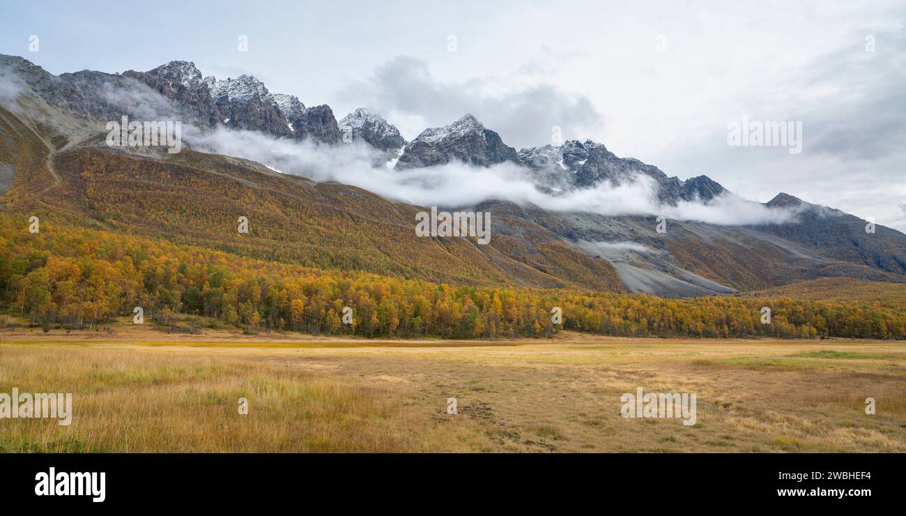 Steile Berge in den Lyngenalpen von Troms in Norwegen. Tiefe Gletschertäler mit herbstbunten Bäumen und felsigen Gipfeln im Herbst. Wundervolle, ruhige Natur Stockfoto