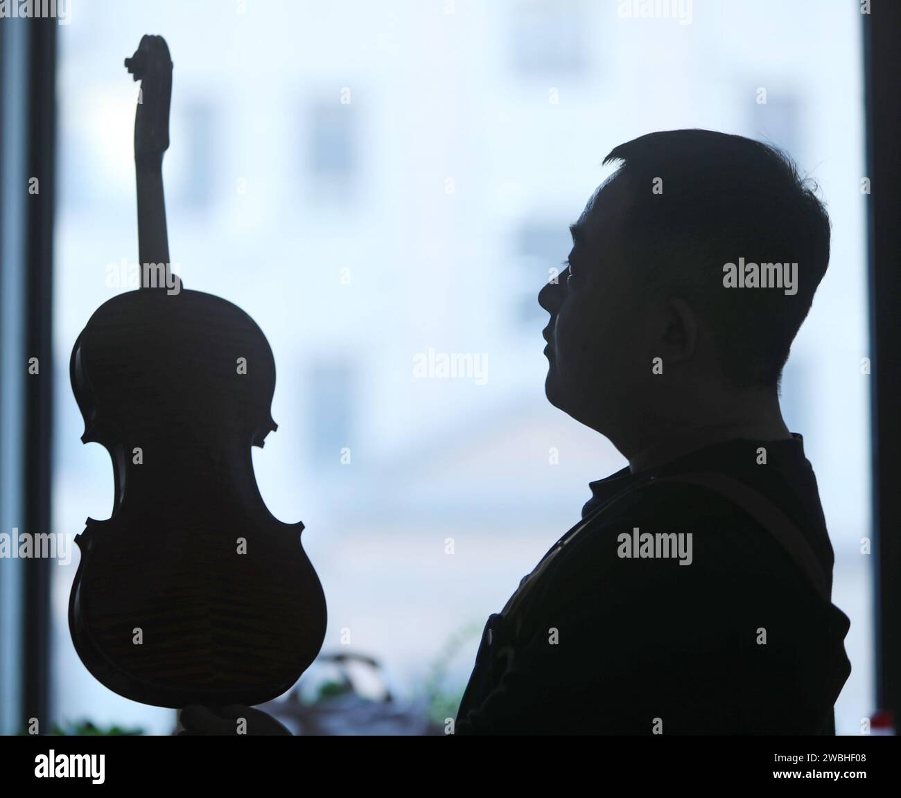 (240111) -- SHENYANG, 11. Januar 2024 (Xinhua) -- Yu Haixu überprüft das Gemälde auf der Oberfläche einer Geige in seinem Atelier in Yingkou, nordöstlicher chinesischer Provinz Liaoning am 9. Januar 2024. Yu Haixu ist ein Geigenbauer, der in der Stadt Yingkou im Nordosten Chinas in der Provinz Liaoning arbeitet. Seit seiner Kindheit von seinem Vater beeinflusst, wuchs er allmählich an das anspruchsvolle Geigenbauwerk der Familie an und begann nach dem Studium an der Universität als Geigenbauer zu arbeiten, wobei er sich mit dem Geigenbau sowie anderen Streichinstrumenten wie Viola und Celli beschäftigte. Von Rohstoffen zu einem feinen Instrument Stockfoto
