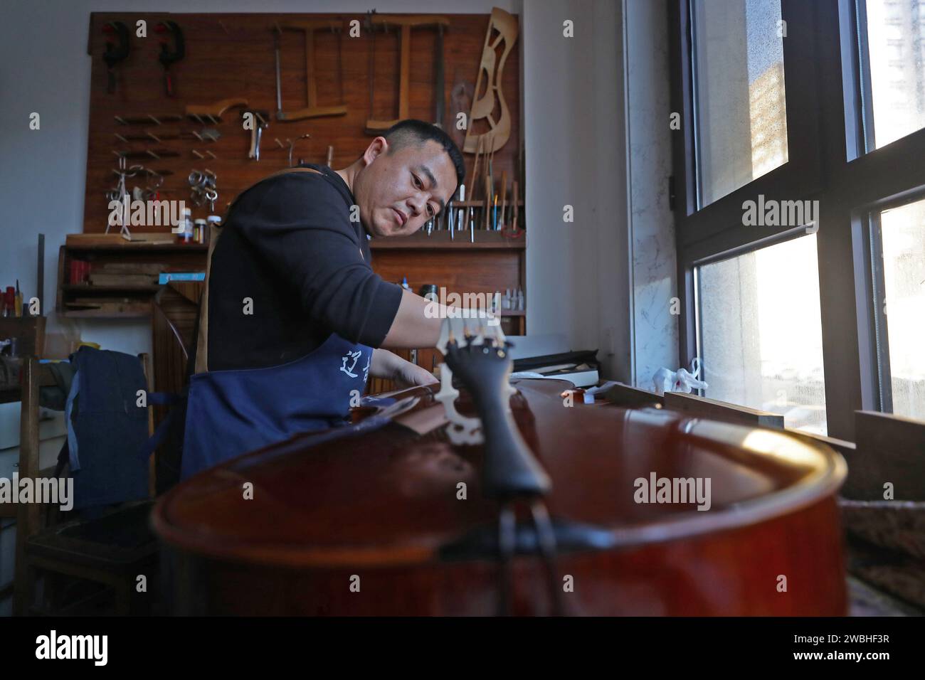 (240111) -- SHENYANG, 11. Januar 2024 (Xinhua) -- Yu Haixu spielt am 9. Januar 2024 in seinem Atelier in Yingkou, nordöstlicher Provinz Liaoning, Cello. Yu Haixu ist ein Geigenbauer, der in der Stadt Yingkou im Nordosten Chinas in der Provinz Liaoning arbeitet. Seit seiner Kindheit von seinem Vater beeinflusst, wuchs er allmählich an das anspruchsvolle Geigenbauwerk der Familie an und begann nach dem Studium an der Universität als Geigenbauer zu arbeiten, wobei er sich mit dem Geigenbau sowie anderen Streichinstrumenten wie Viola und Celli beschäftigte. Von Rohstoffen bis hin zu einem feinen Instrument, jede handgefertigte Violine, Bratsche oder Stockfoto