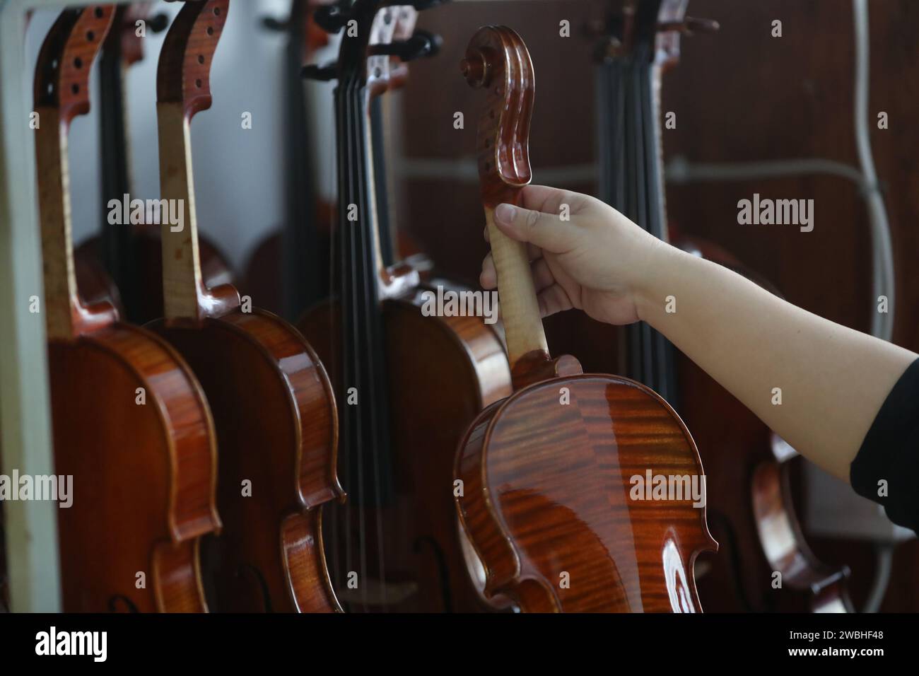 (240111) -- SHENYANG, 11. Januar 2024 (Xinhua) -- Yu Haixu überprüft das Gemälde auf der Oberfläche einer Geige in seinem Atelier in Yingkou, nordöstlicher chinesischer Provinz Liaoning am 9. Januar 2024. Yu Haixu ist ein Geigenbauer, der in der Stadt Yingkou im Nordosten Chinas in der Provinz Liaoning arbeitet. Seit seiner Kindheit von seinem Vater beeinflusst, wuchs er allmählich an das anspruchsvolle Geigenbauwerk der Familie an und begann nach dem Studium an der Universität als Geigenbauer zu arbeiten, wobei er sich mit dem Geigenbau sowie anderen Streichinstrumenten wie Viola und Celli beschäftigte. Von Rohstoffen zu einem feinen Instrument Stockfoto