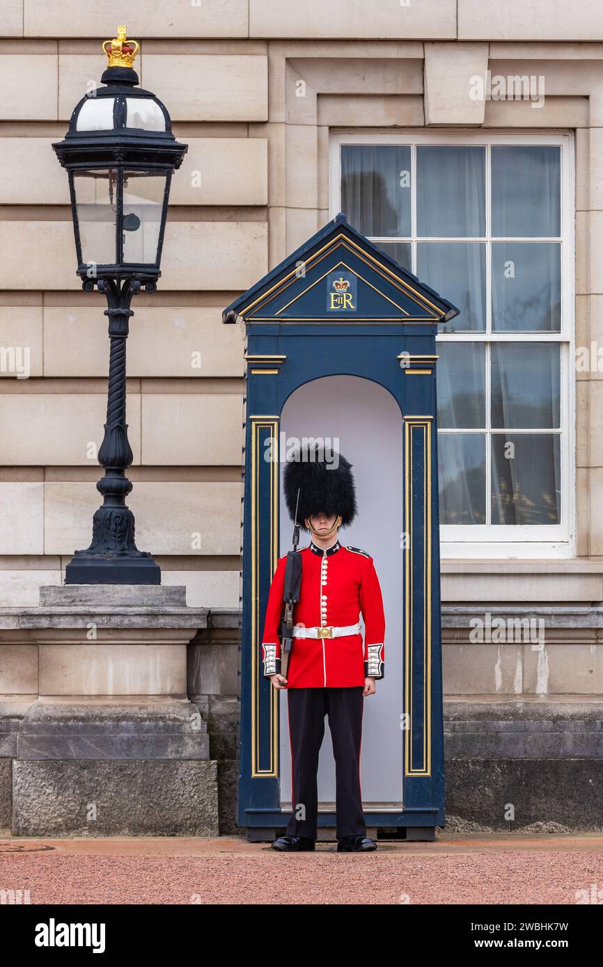 Walisischer Wächter auf Wache im Buckingham Palace. London, England Stockfoto