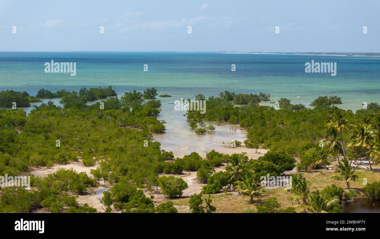 Ein Blick aus der Vogelperspektive auf Mangroove im Stadtteil Palma in Cabo Delgado, Mosambik Stockfoto