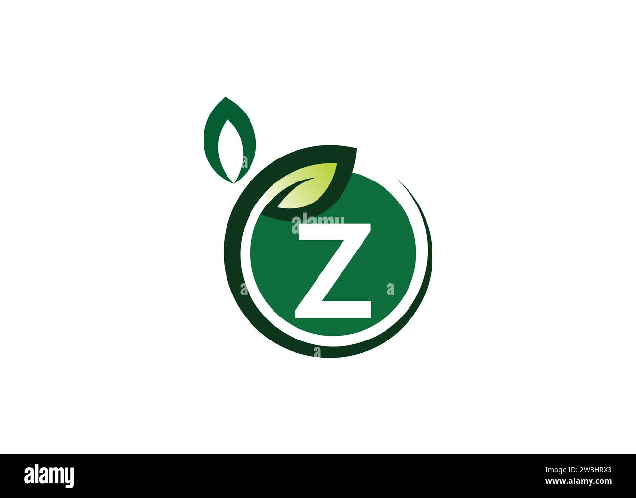 Letter Z Green Leaf Logo Design Vektorvorlage. Letter Z Nature Growth Leaf Vector Logo Stock Vektor