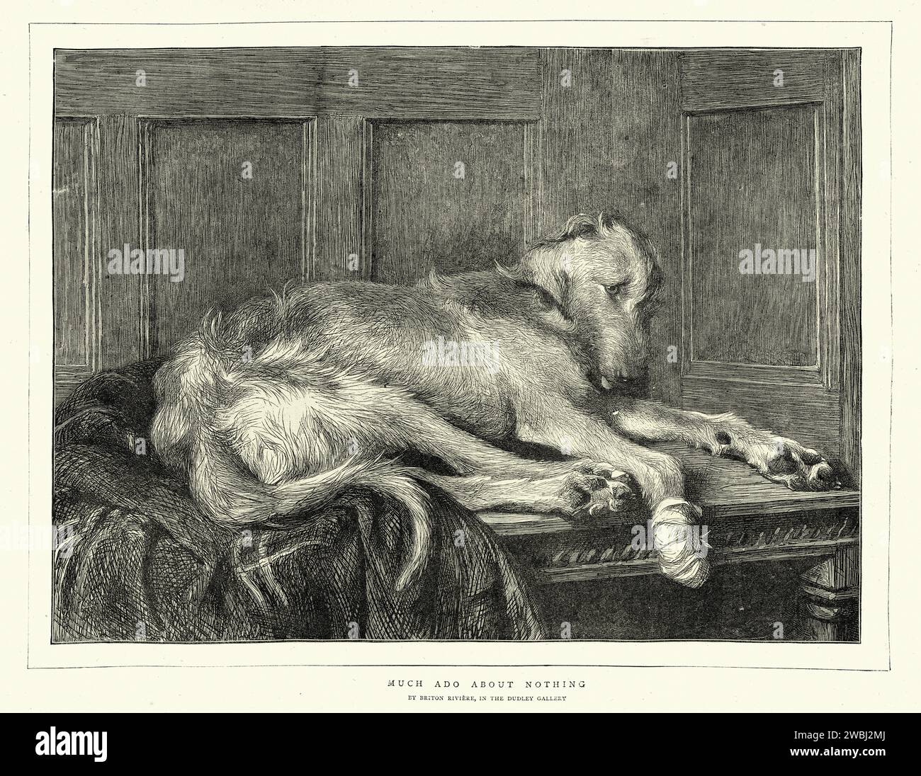 Vintage-Illustration eines traurigen Hundes mit einem Verband auf seiner verwundeten Pfote, viktorianische Tierkunst, Englisch, 1870er Jahre, nach dem Gemälde viel Lärm über nichts, von Briten Riviere Stockfoto