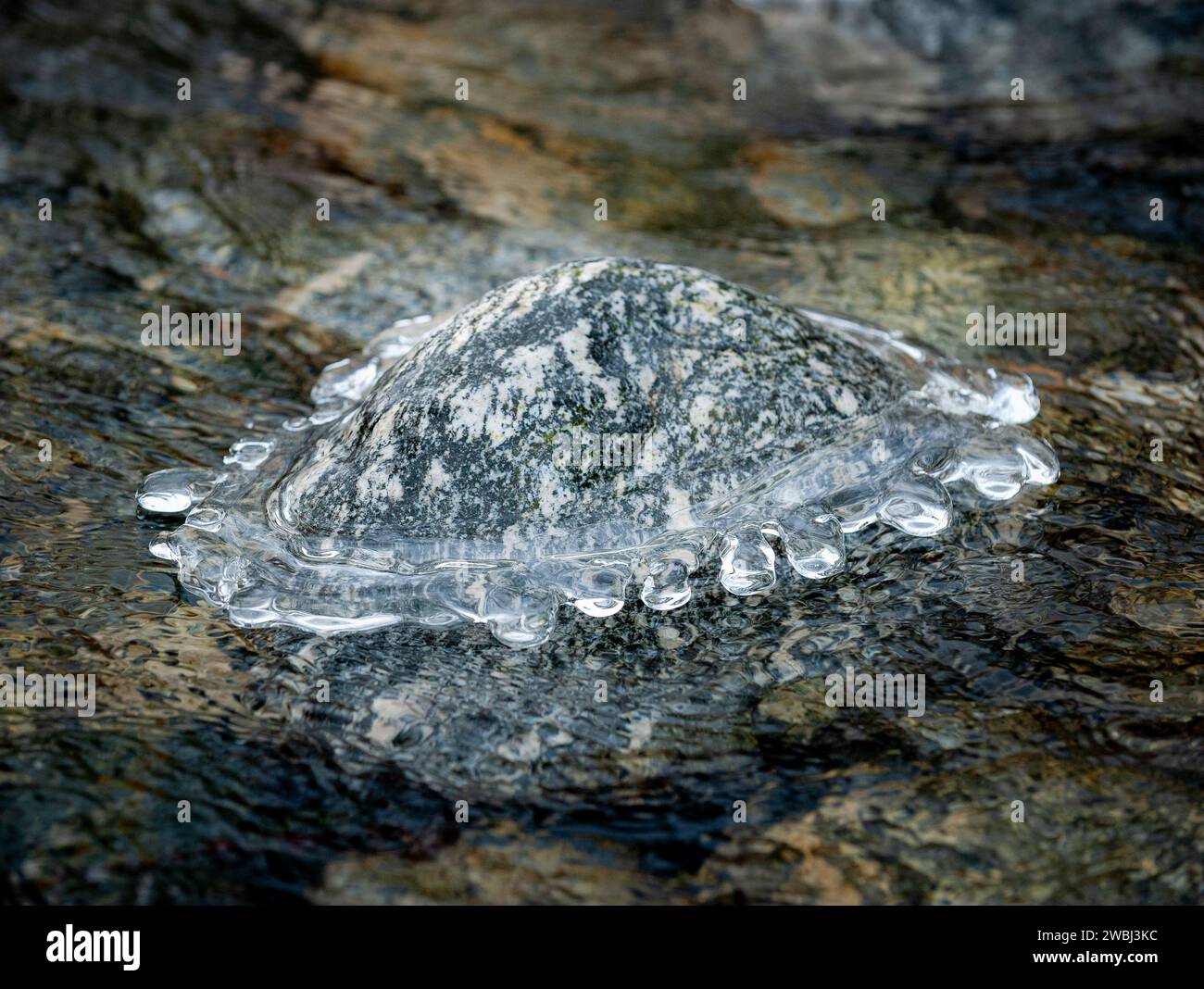 Ein teilweise untergetauchtes Gestein mit einer klaren Eisschicht um seinen Rand demonstriert Naturkunst in einem Winterbach. Stockfoto