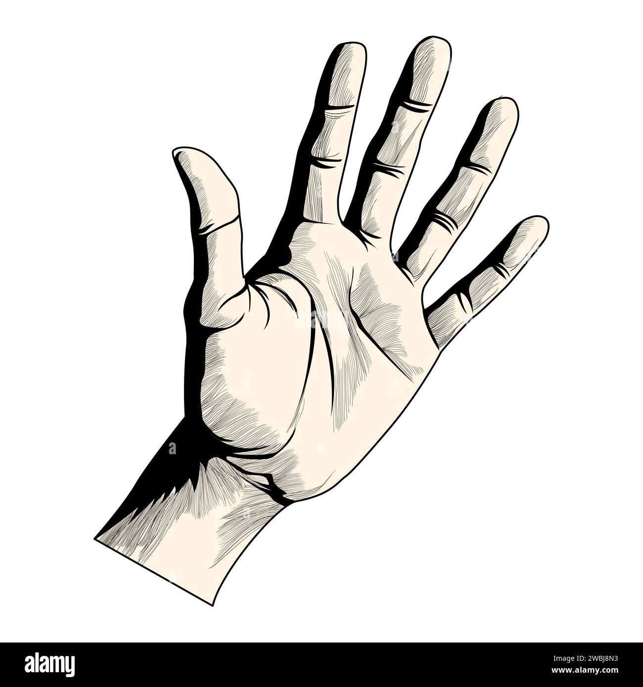 Realistische Hand. Schwarz-weiße Hand. Malen mit Konturen. Finger, Haut, Falten, Schatten. Menschliche Handfläche. Vektorabbildung Stock Vektor