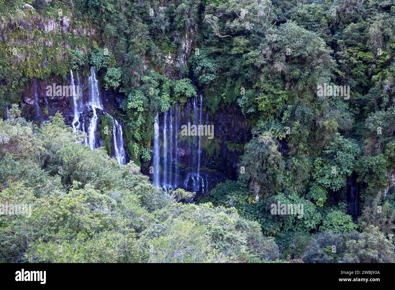 Die Grand Galet Falls (nach dem Namen des Flusses auch Langevin Falls genannt) liegen in der Gemeinde Saint-Joseph auf der Insel Réunion. Stockfoto