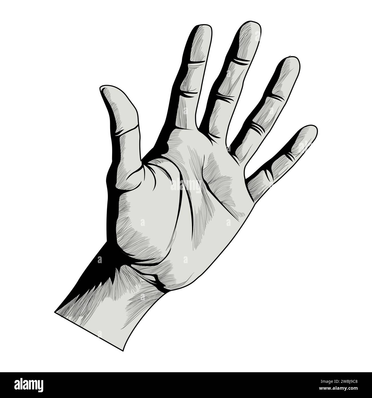 Realistische Hand. Schwarz-weiße Hand. Malen mit Konturen. Finger, Haut, Falten, Schatten. Menschliche Handfläche. Vektorabbildung Stock Vektor