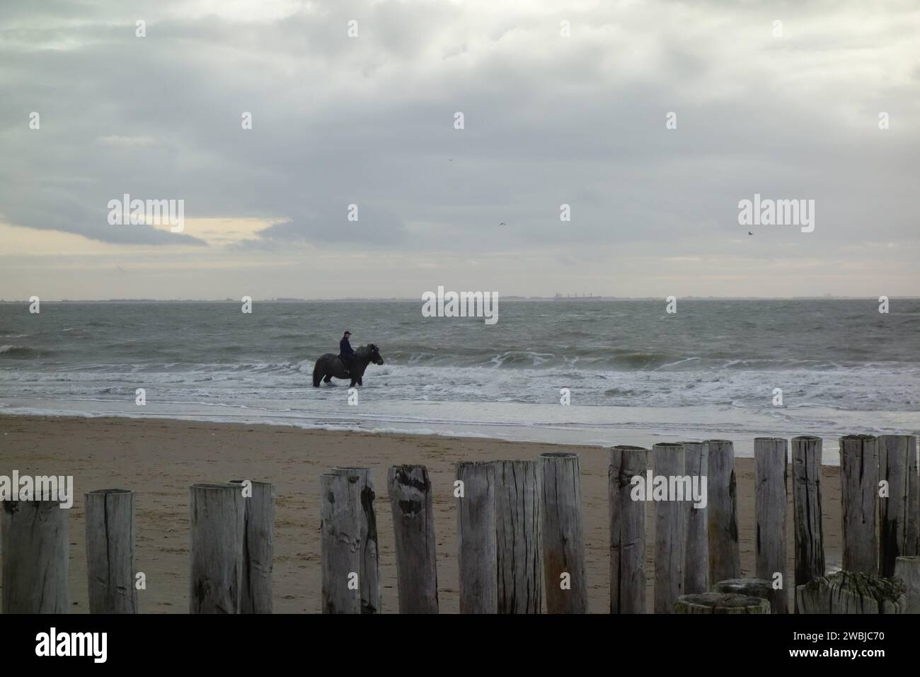 Eine malerische Szene, in der ein Reiter eine gemütliche Fahrt entlang des Sandstrandes genießt Stockfoto