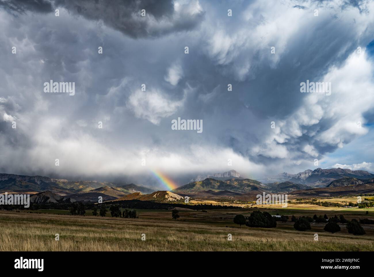 Ein malerischer Blick auf ein grünes Feld mit einem Regenbogen in den Wolken Stockfoto