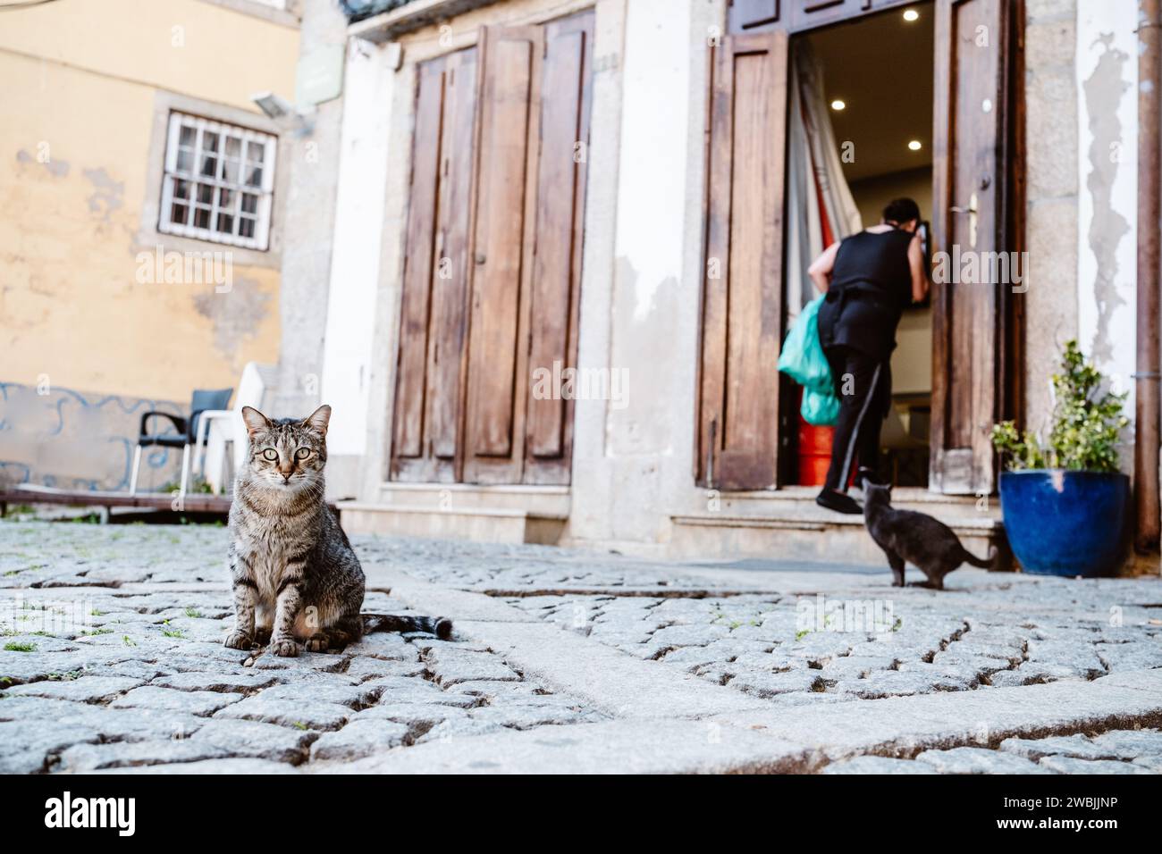 Echter Blick auf die Straßen von Porto in nicht touristischen Orten, Nord-Portugal Stockfoto