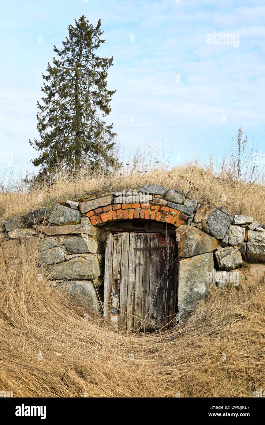 Holztür zum alten Erdkeller im ländlichen Finnland mit einer Fichte im Hintergrund. April 2021. Stockfoto