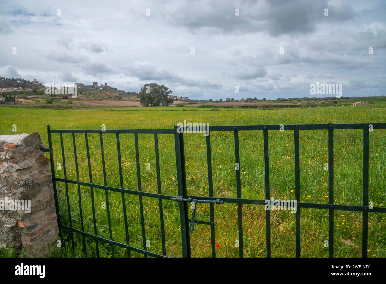 Feld und Übersicht. Oropesa, Provinz Toledo, Castilla La Mancha, Spanien. Stockfoto