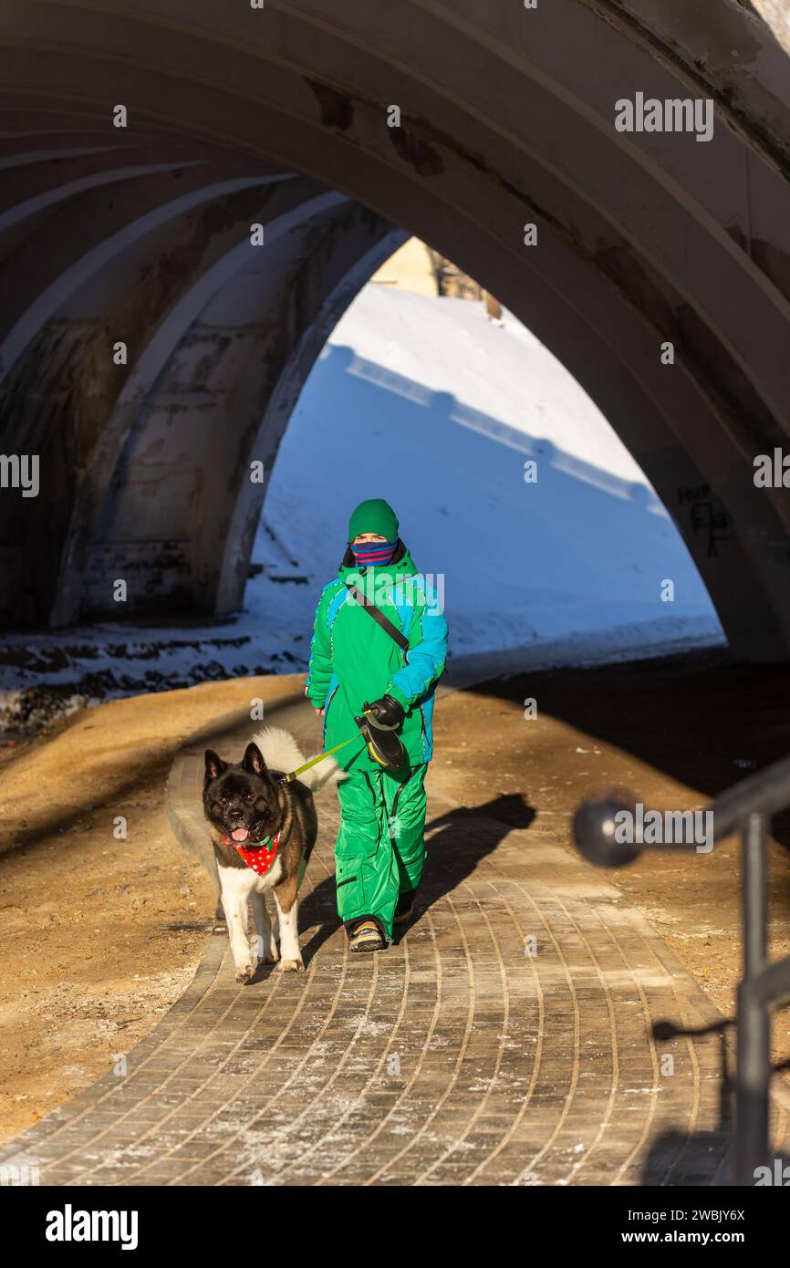Eine junge Frau in einem warmen Anzug geht im Winter mit einem amerikanischen Akita-Hund spazieren. Diese Rasse hat ein dickes Fell und hat keine Angst vor Frost. Stockfoto