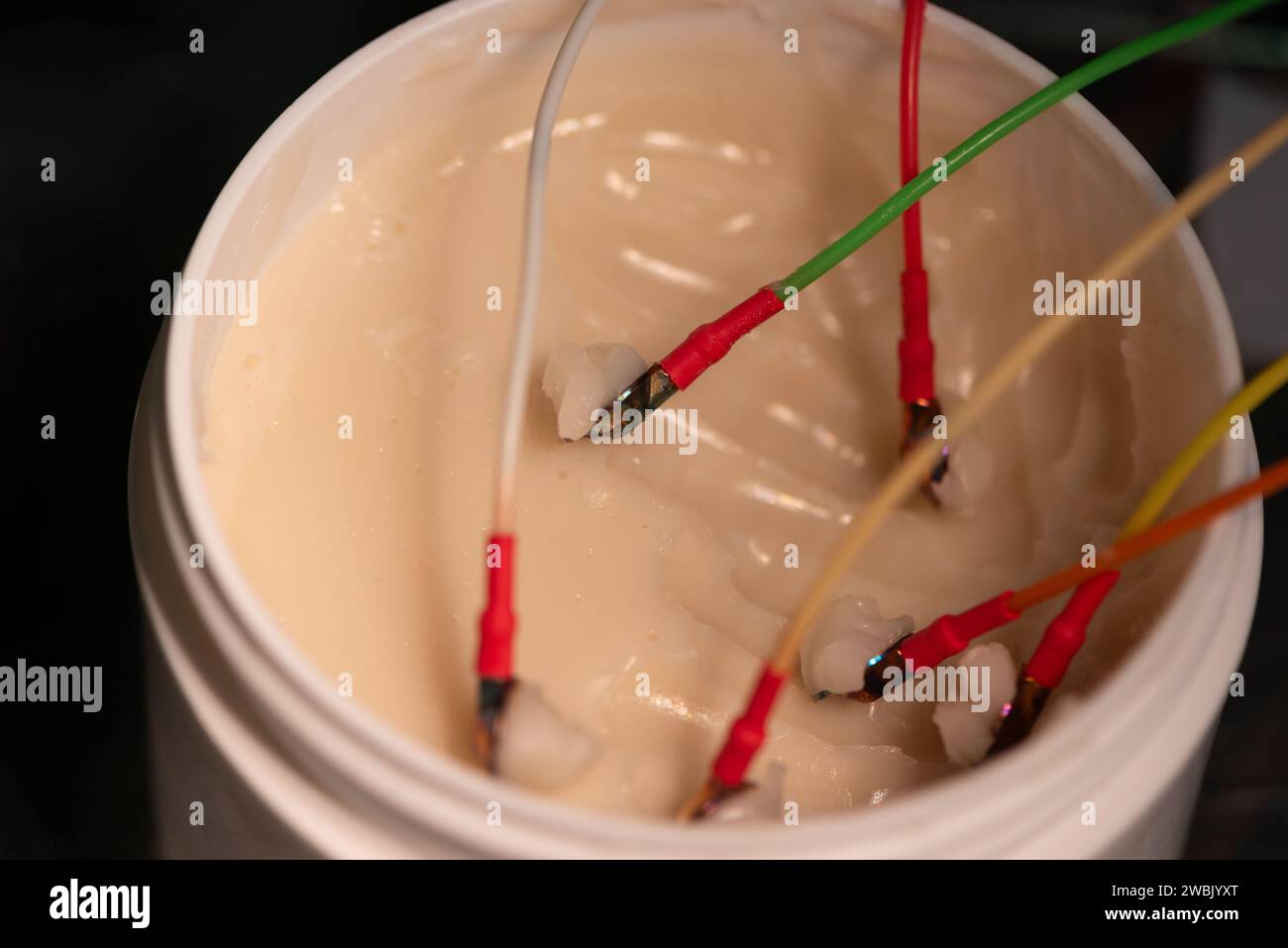 Nahaufnahme von EEG-Elektroden in Gel zur elektrischen Leitung zur Vorbereitung der Platzierung auf dem Patientenkopf. Stockfoto