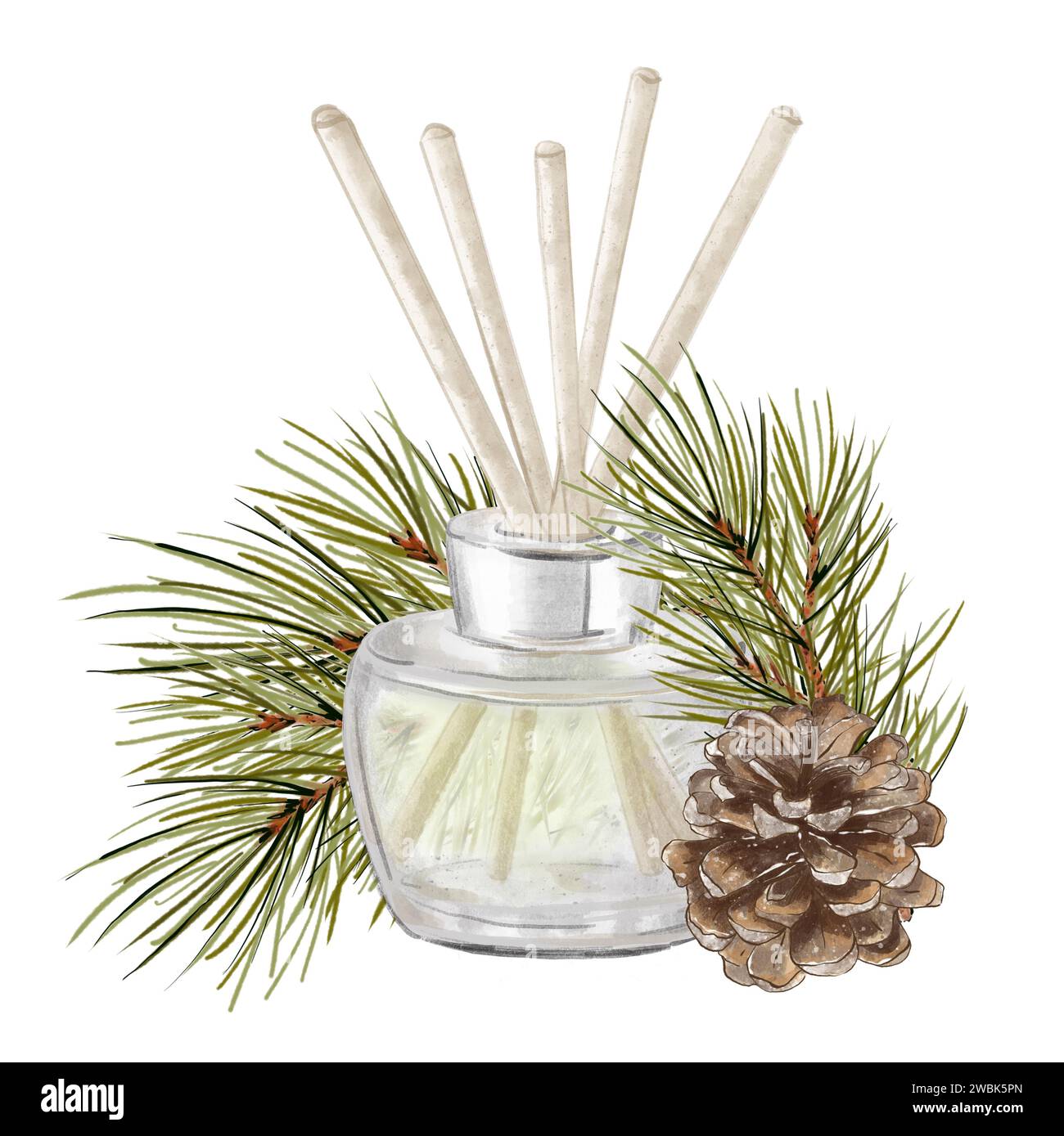Weihrauchstäbchen aus Holz in einer transparenten Glasflasche mit Tannenzweig und Kegel. Handgezeichnete Illustration isoliert auf weißem Hintergrund. Aromatherapiezugänge Stockfoto