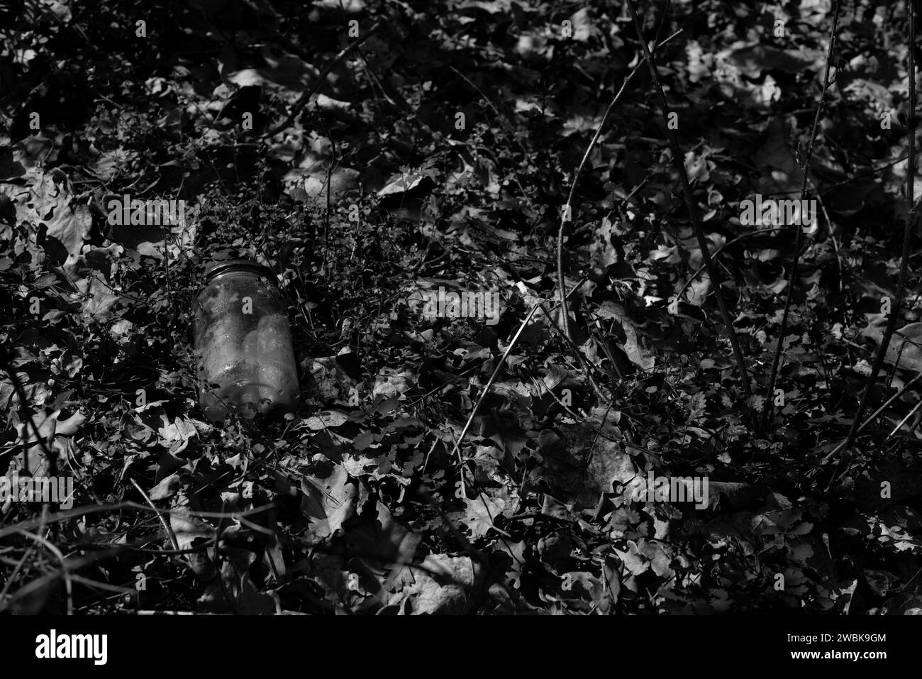 Illegale Abfälle in den Wald in Deutschland, entsorgte maurerglas, schwarz-weiß Stockfoto