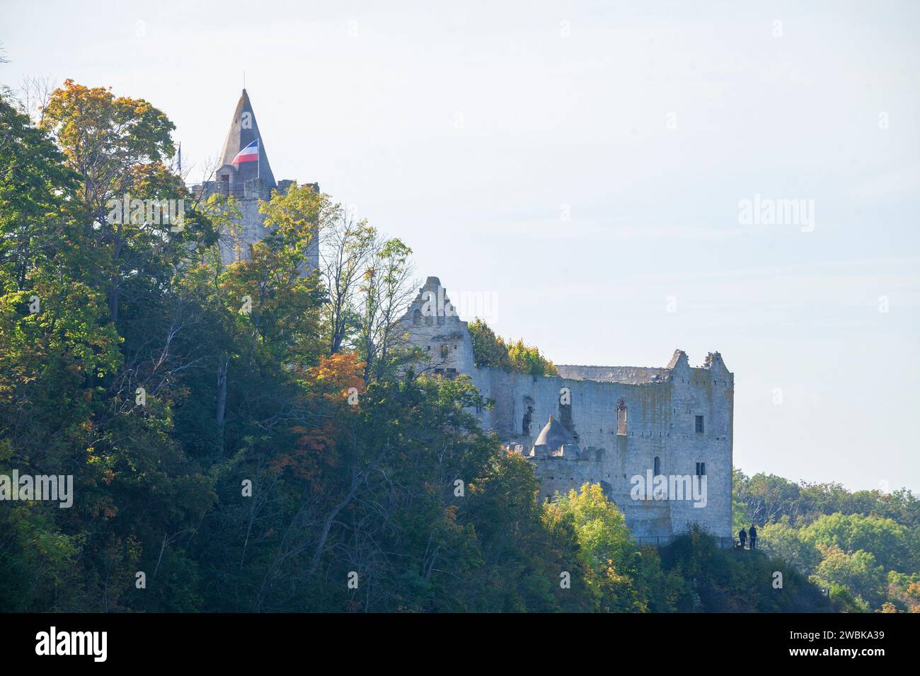 Burgruine Rudelsburg bei Bad Kösen, Naumburg, Sachsen-Anhalt, Deutschland, Europa Stockfoto