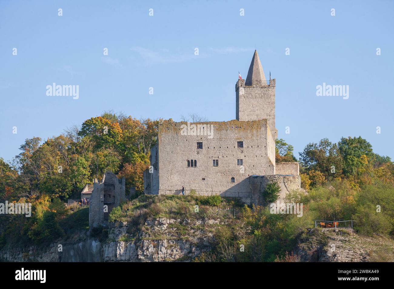 Burgruine Rudelsburg bei Bad Kösen, Naumburg, Sachsen-Anhalt, Deutschland, Europa Stockfoto