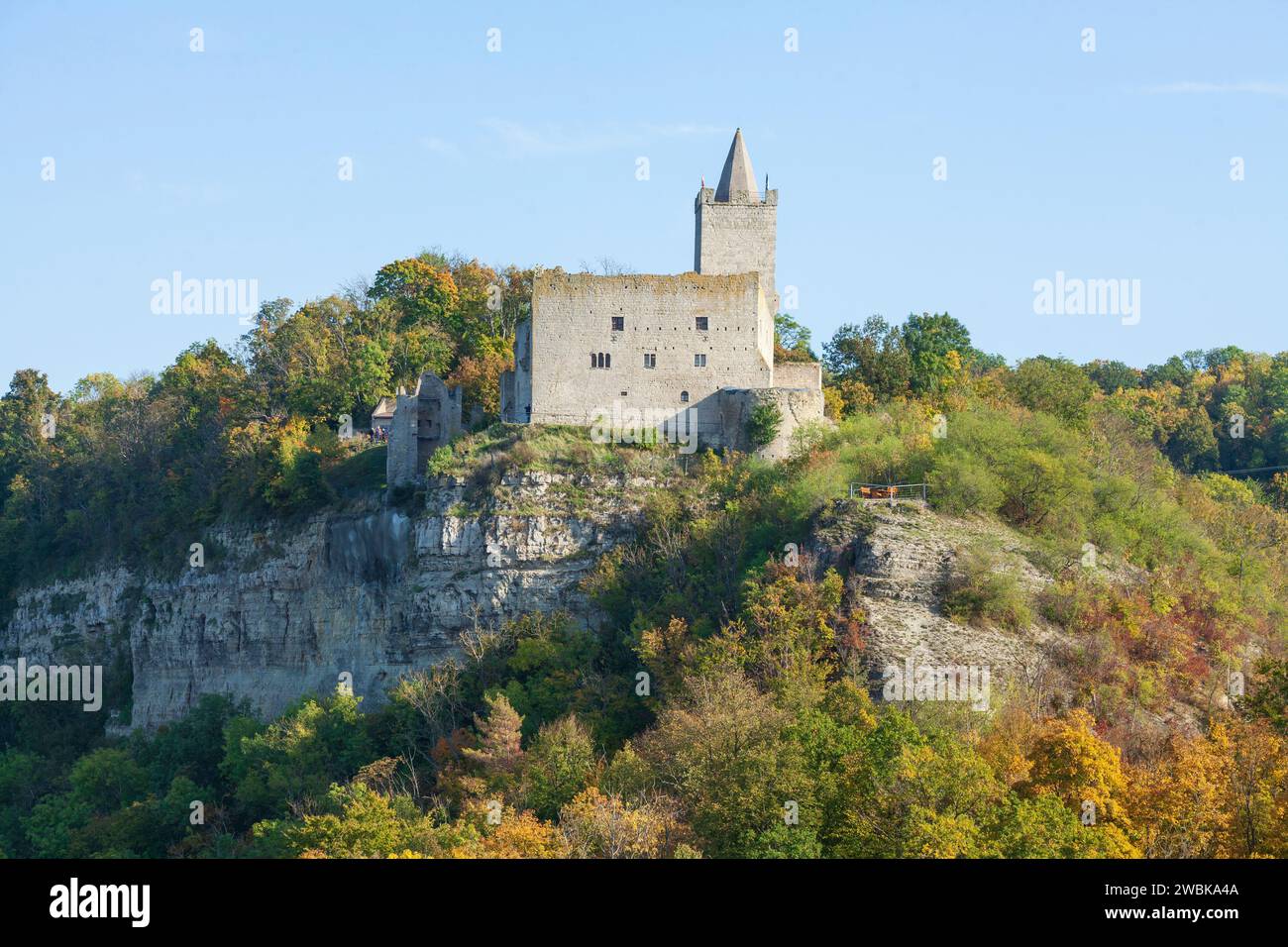 Burgruine Rudelsburg bei Bad Kösen, Naumburg, Sachsen-Anhalt, Deutschland, Europa Stockfoto