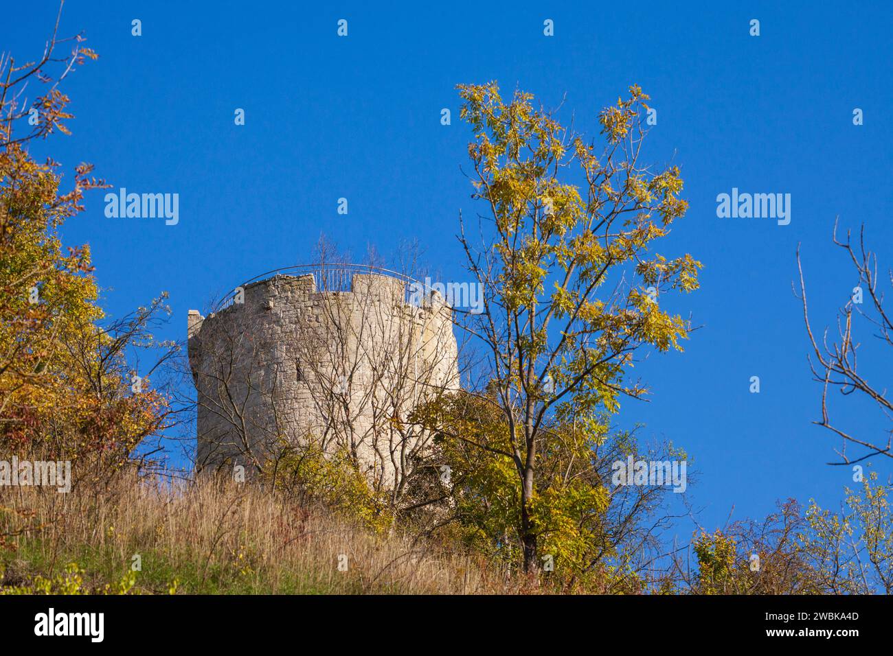 Burgruine Saaleck bei Bad Kösen, Naumburg, Sachsen-Anhalt, Deutschland, Europa Stockfoto