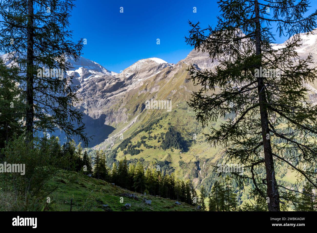 Blick auf die Berge, Fuscher Breitkopf, 3154 m, Großglockner Hochalpenstraße, Nationalpark hohe Tauern, Österreich, Europa Stockfoto