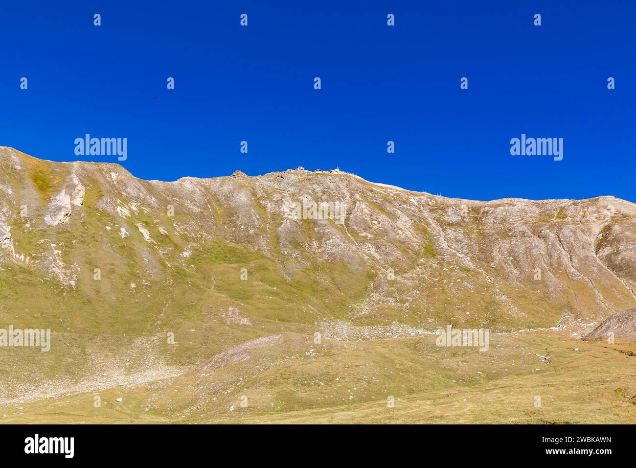 Edelweisspitze, 2572 m, Großglockner Hochalpenstraße, Nationalpark hohe Tauern, Österreich, Europa Stockfoto