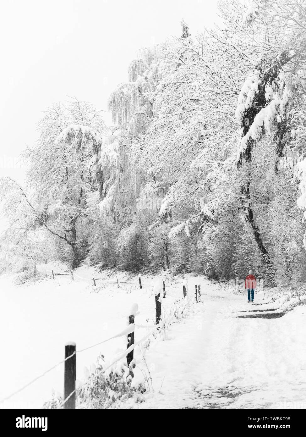 Winterlandschaft, Wanderer in roter Jacke Stockfoto