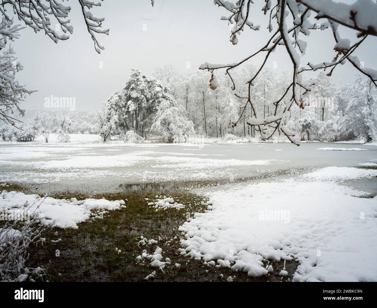 Winterlandschaft mit gefrorenen Wasserflächen Stockfoto