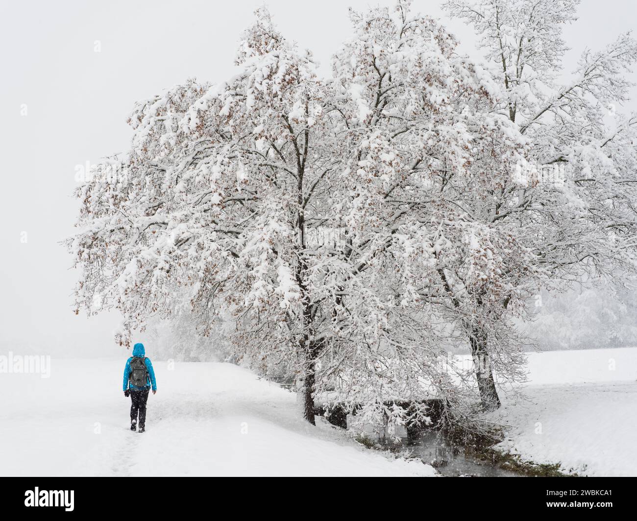 Wanderer in blauer Jacke Stockfoto