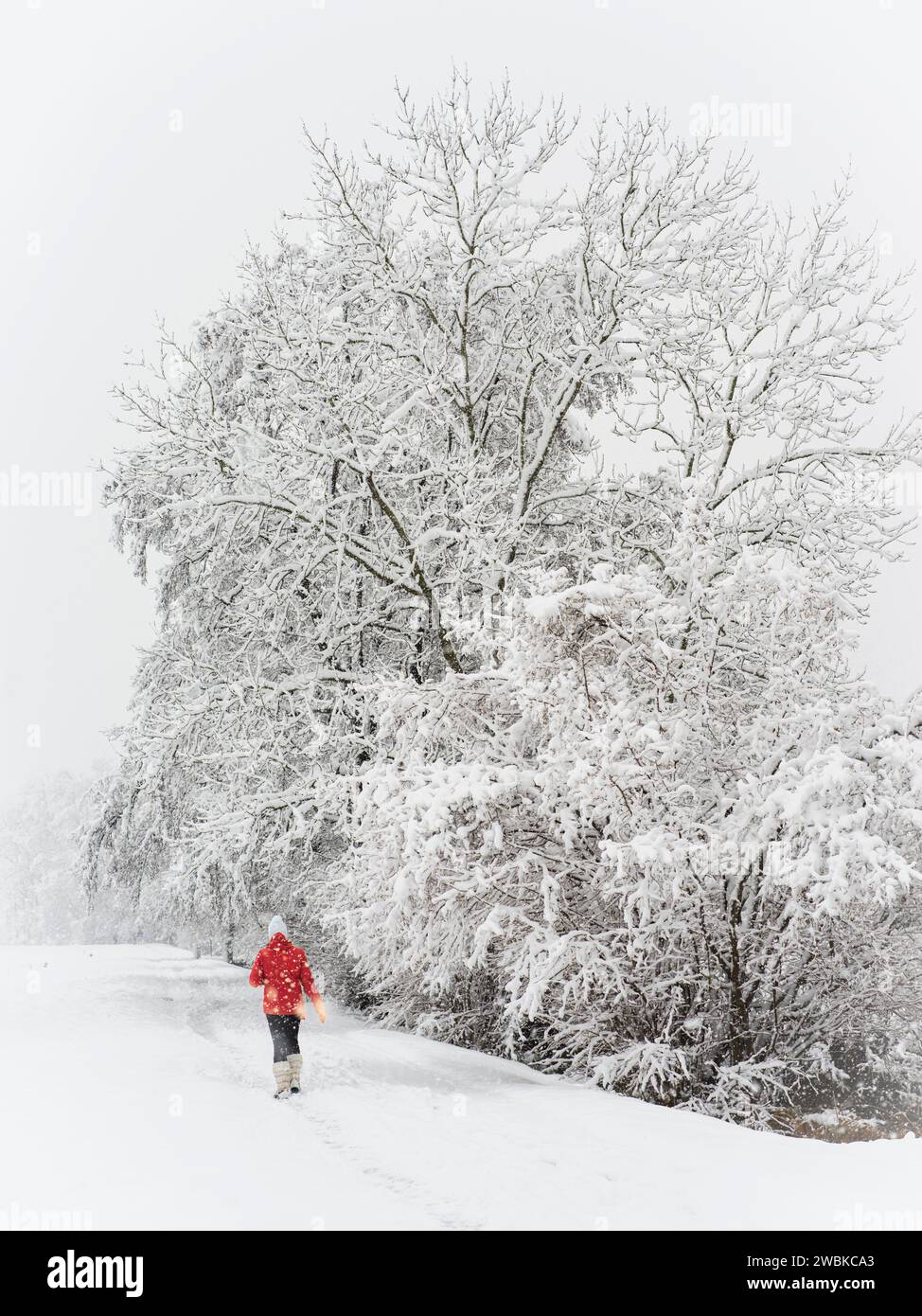 Winterlandschaft, Wanderer in roter Jacke Stockfoto