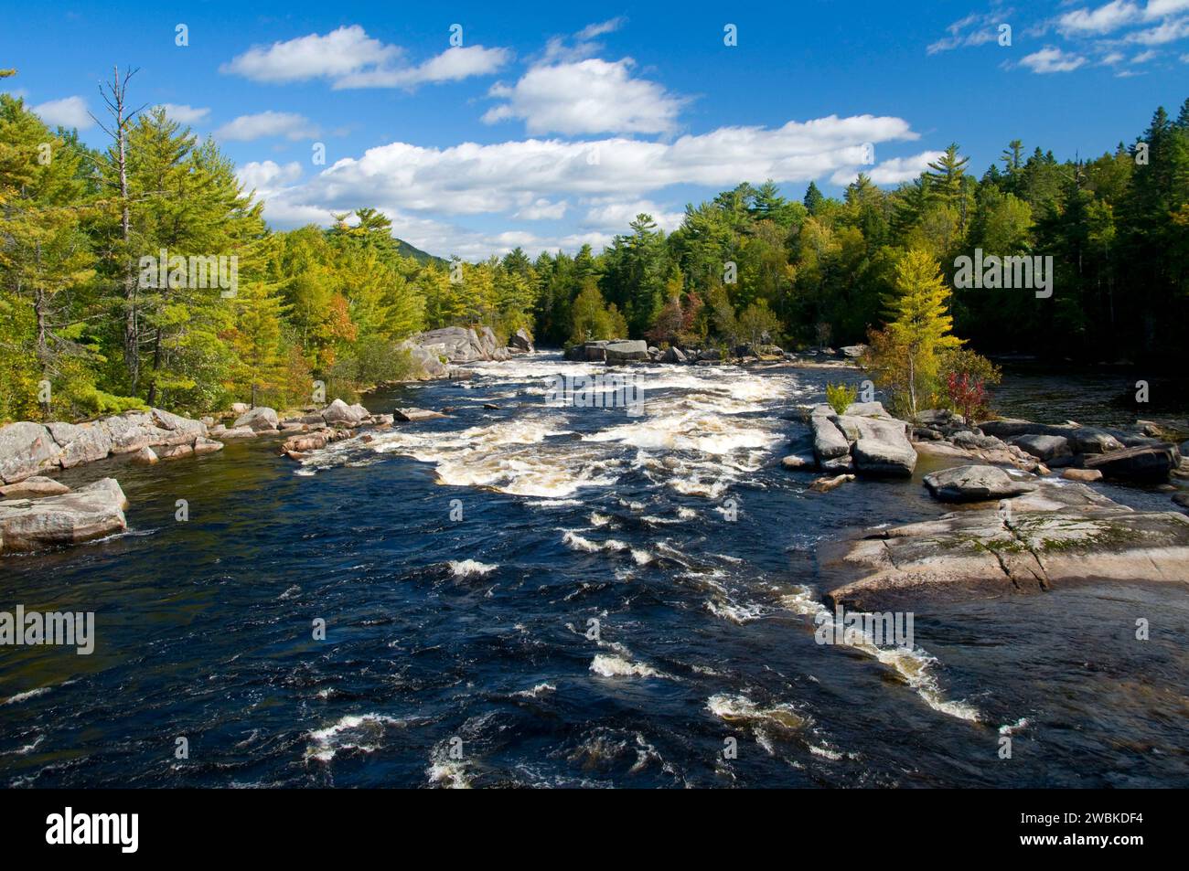 Penobscot River, Penobscot River Korridor, Maine Stockfoto