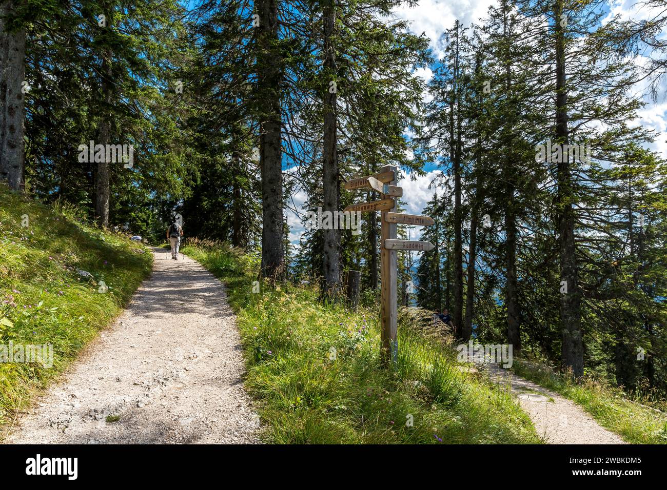 Wanderer auf dem Predigstuhl, Lattengebirge, Bad Reichenhall, Bayern, Deutschland, Europa Stockfoto