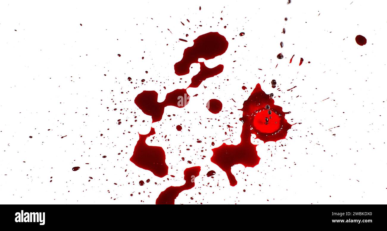 Bluttropfen vor weißem Hintergrund Stockfoto