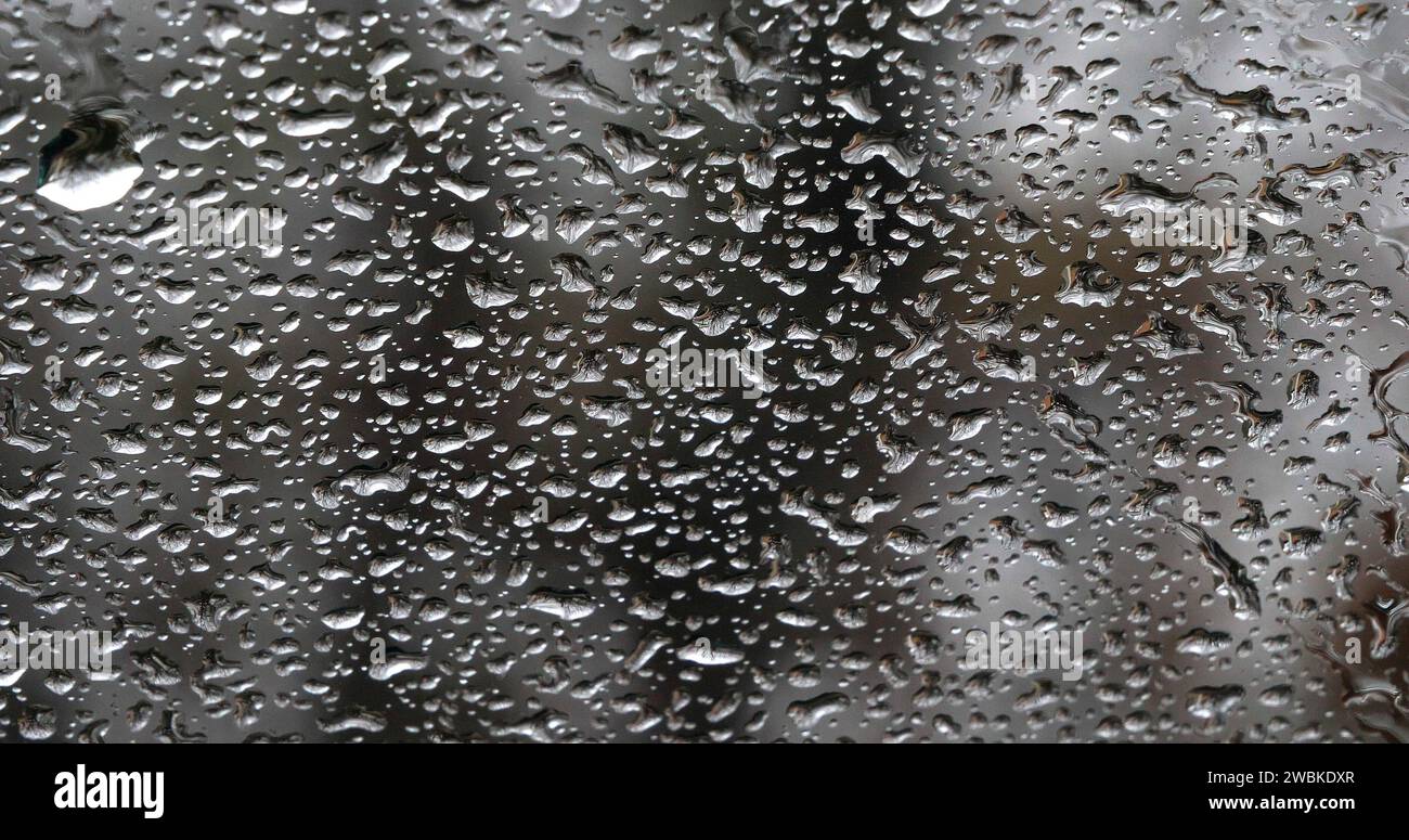 Regen tropft auf die Windschutzscheibe des Fahrzeugs, Stockfoto
