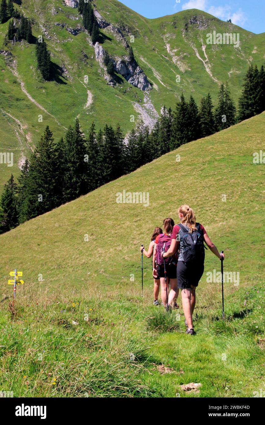 Wandergruppe von 3 Frauen, Abfahrt von Gröbner Hals zur Tiefenbachalm in Bächental, Eben am Achensee, Tirol, Österreich Stockfoto