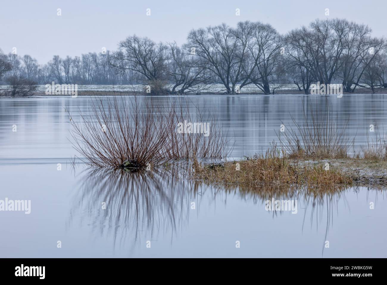 Ein groyne Kopf im Winter auf der Elbe bei Radegast/Bleckede Stockfoto