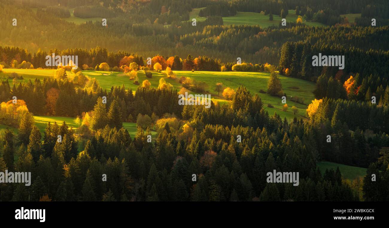 Bäume und Wälder leuchten bunt in der aufgehenden Herbstsonne. Allgäu, Bayern, Deutschland Stockfoto
